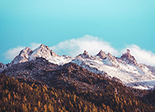 AL局内语音-Tarzan：Nice，呜~（疯狂鼓掌）