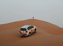 AL局内语音-Tarzan：Nice，呜~（疯狂鼓掌）