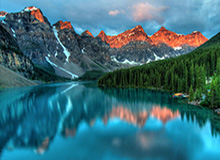 AL局内语音-Tarzan：Nice，呜~（疯狂鼓掌）