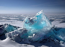 AL局内语音-Tarzan：Nice，呜~（疯狂鼓掌）