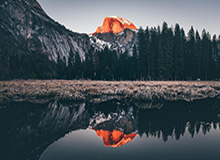 AL局内语音-Tarzan：Nice，呜~（疯狂鼓掌）